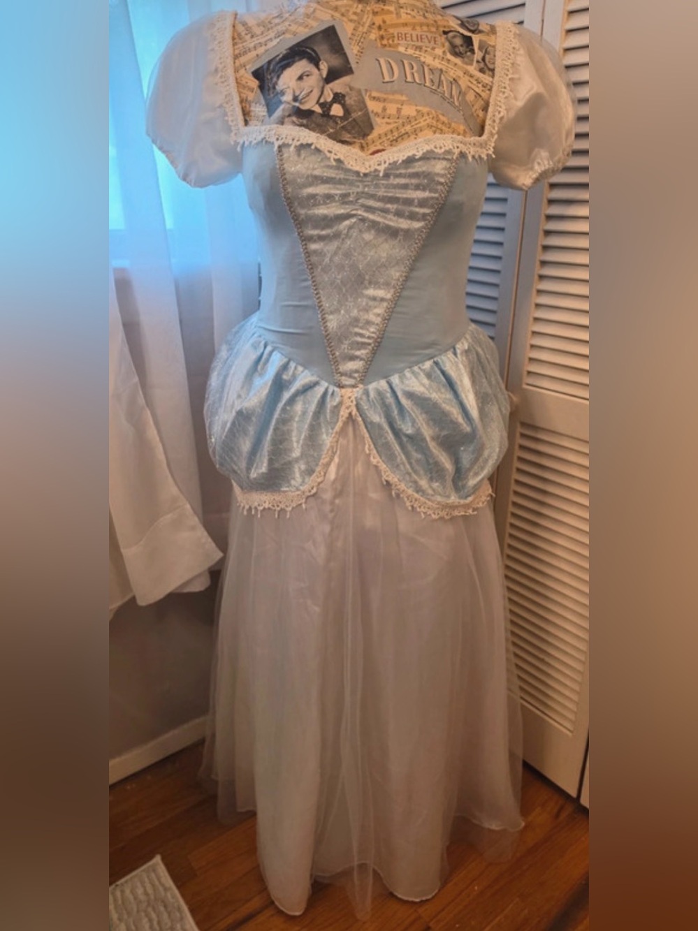Cinderella costume! Plus size XL or XXL. ~44” chest, ~40” waist. Quality!